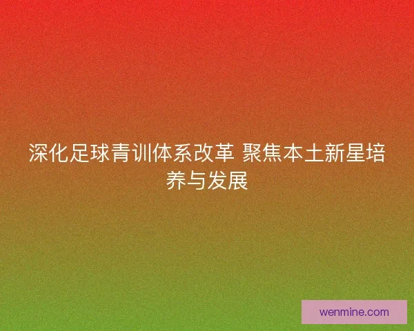 深化足球青训体系改革 聚焦本土新星培养与发展